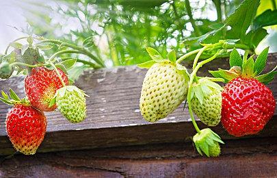 育碧《赛道狂飙》主机版将于5月15日正式发售